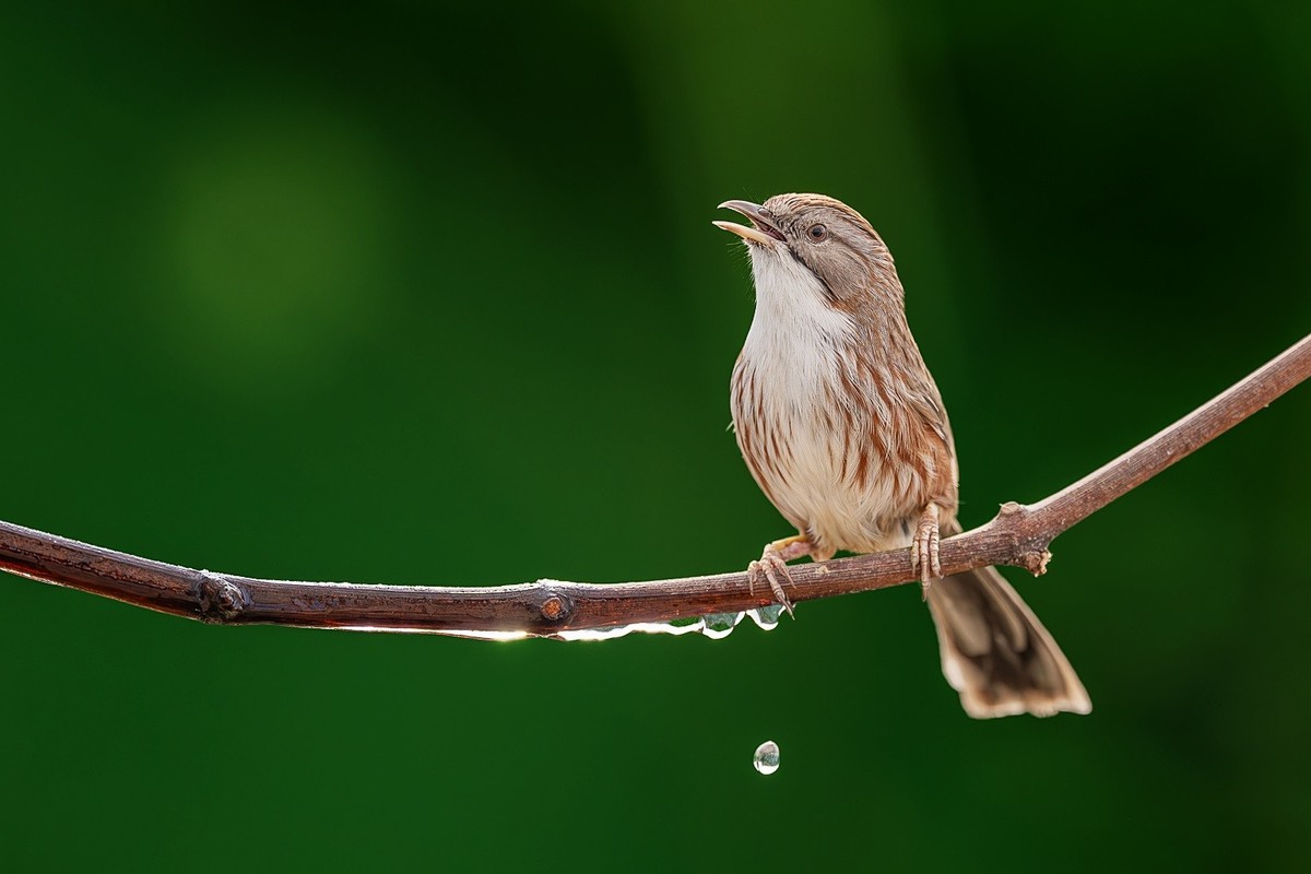 蛇年伊始，祝各位老师新的一年身体健康、阖家幸福、万事如意！