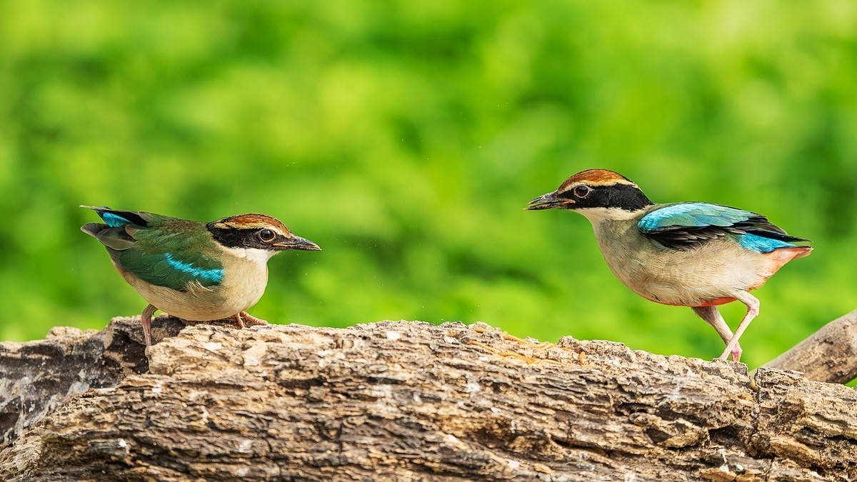 蛇年伊始，祝各位老师新的一年身体健康、阖家幸福、万事如意！
