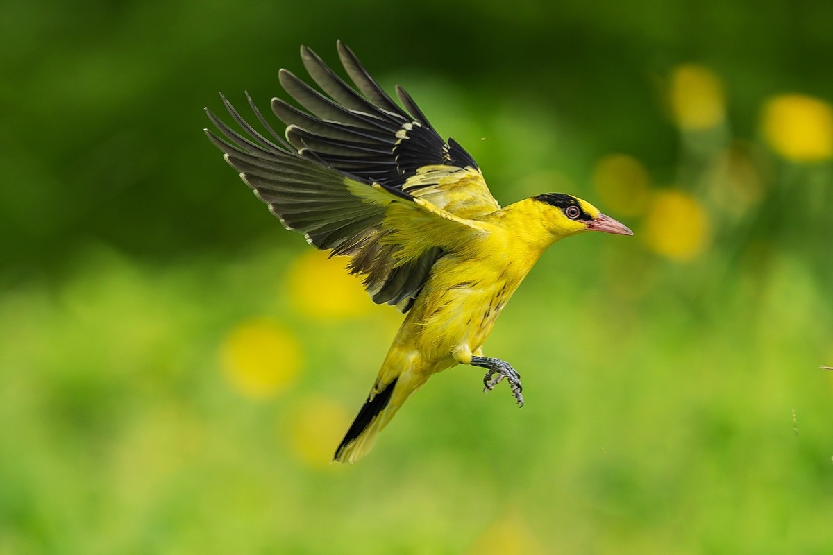 蛇年伊始，祝各位老师新的一年身体健康、阖家幸福、万事如意！