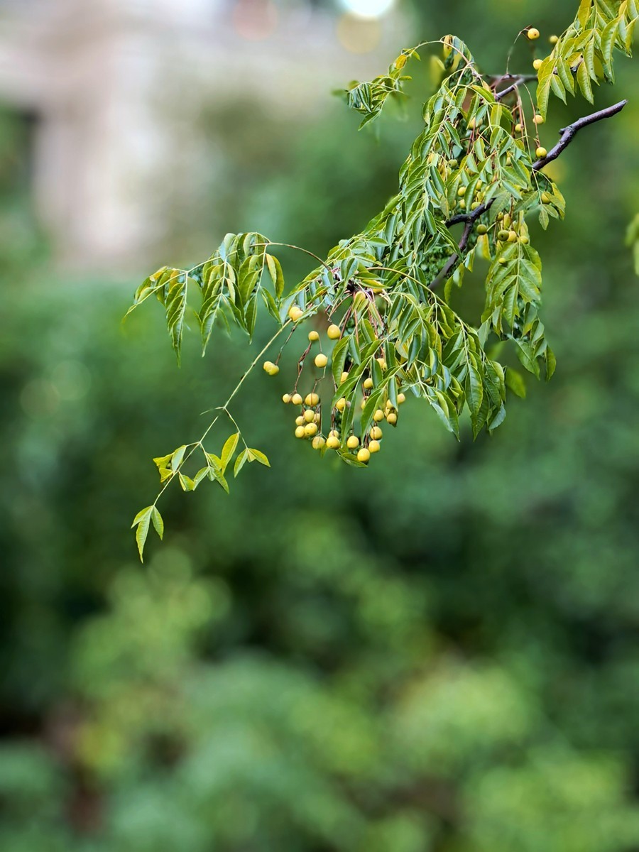 城市光影碎片之六十八