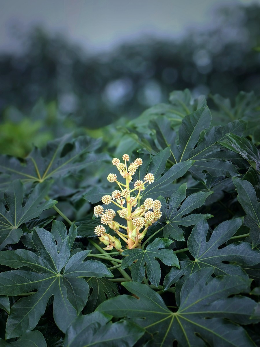 城市光影碎片之六十八