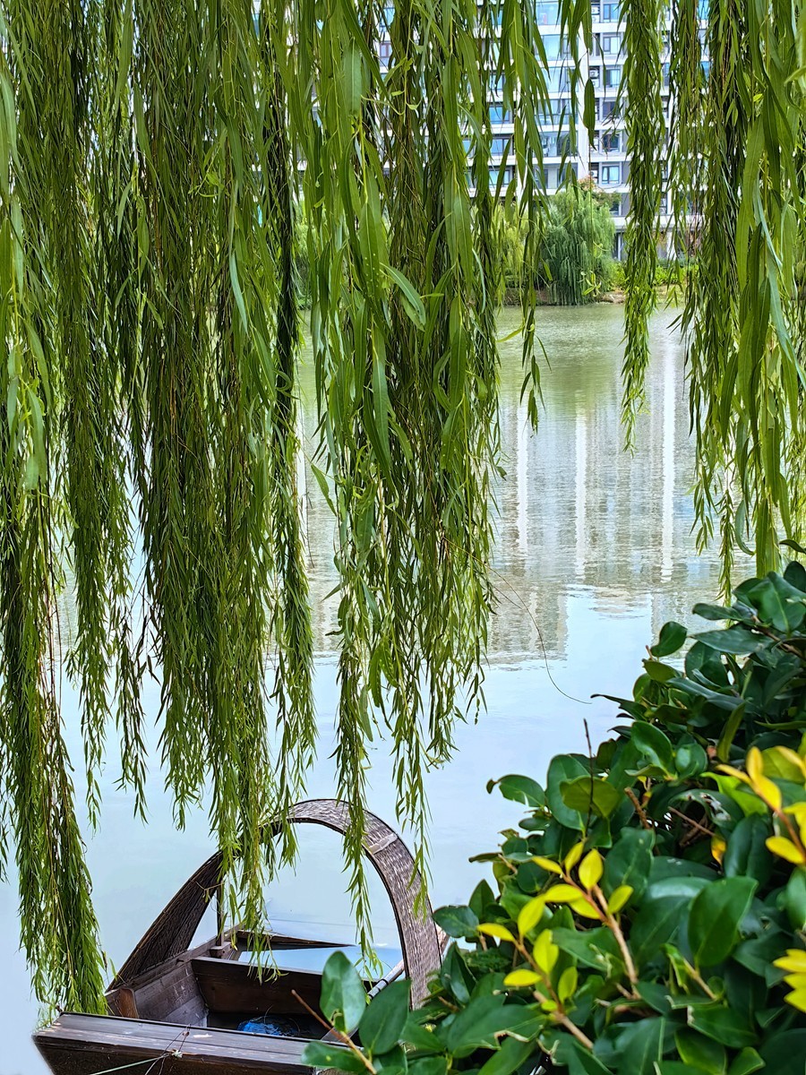 城市光影碎片之六十八