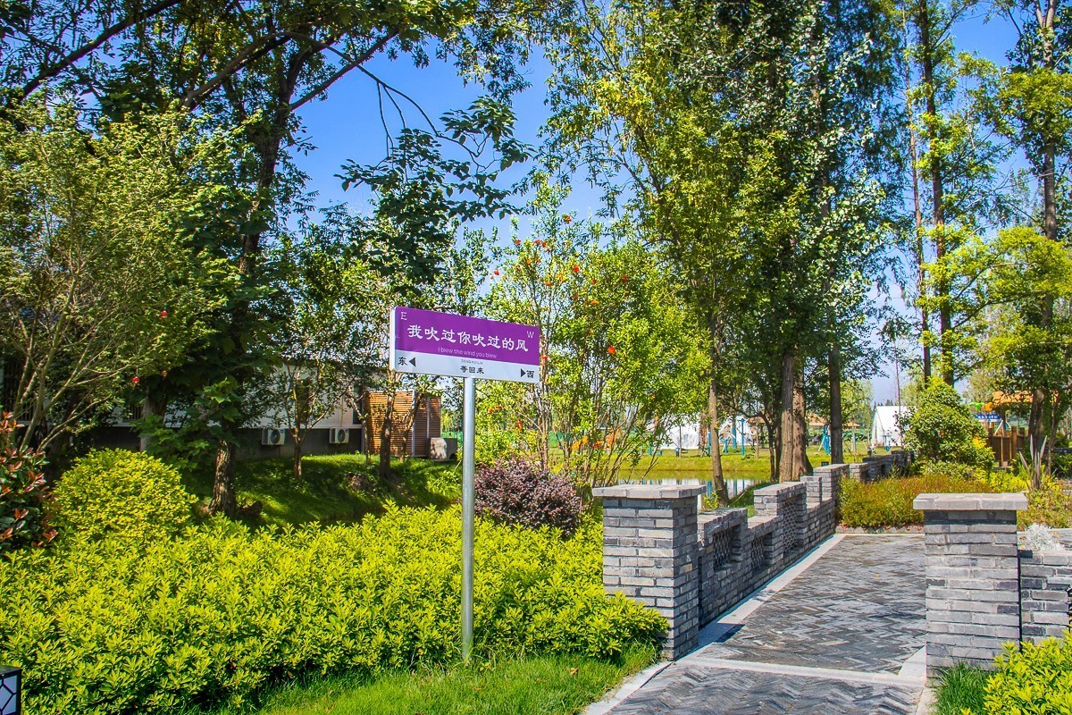 2023-07-08仪征新集天安村荷塘（三）