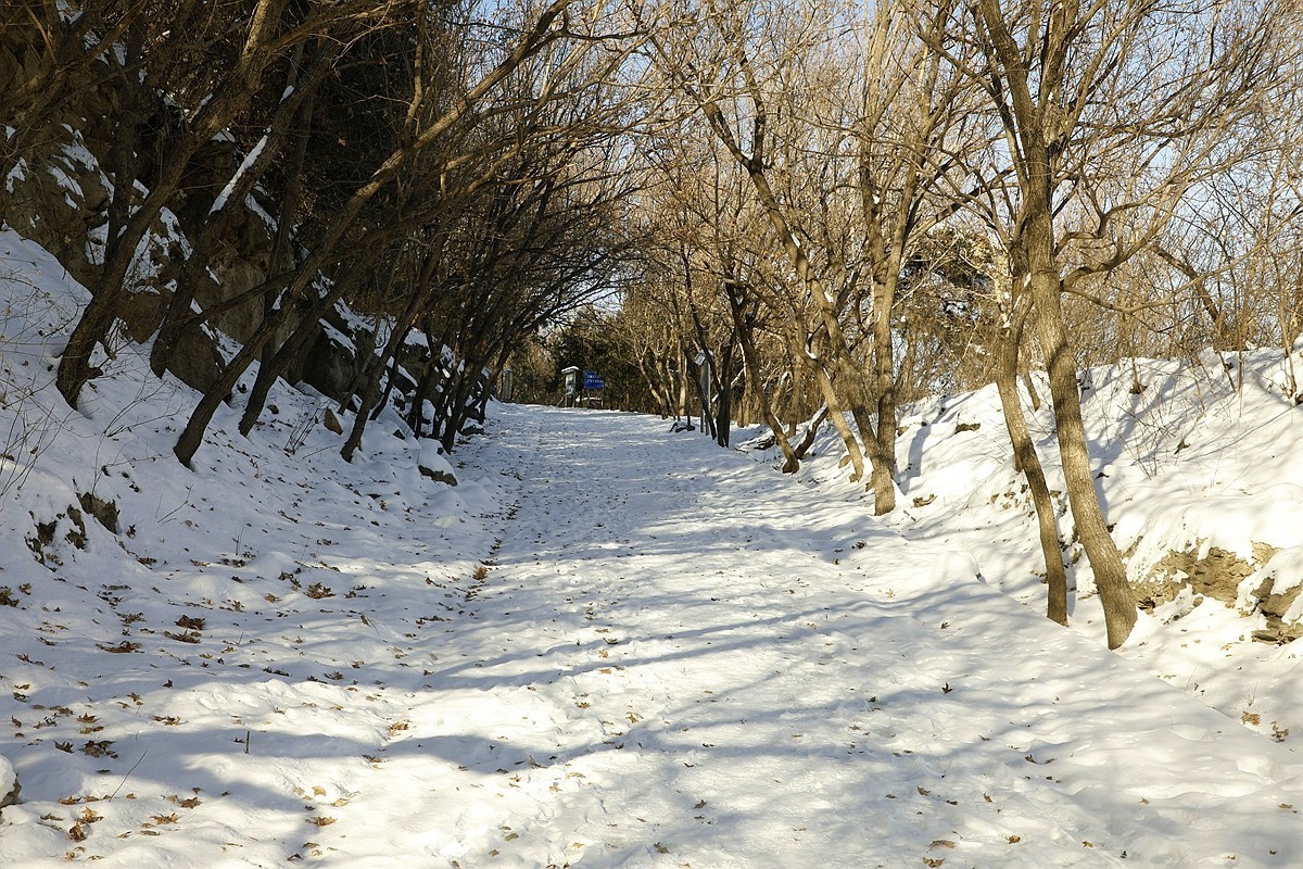 百望山雪韵
