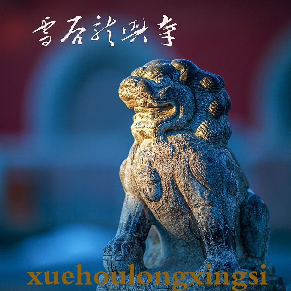 雪后隆兴寺【电影画质色彩】
