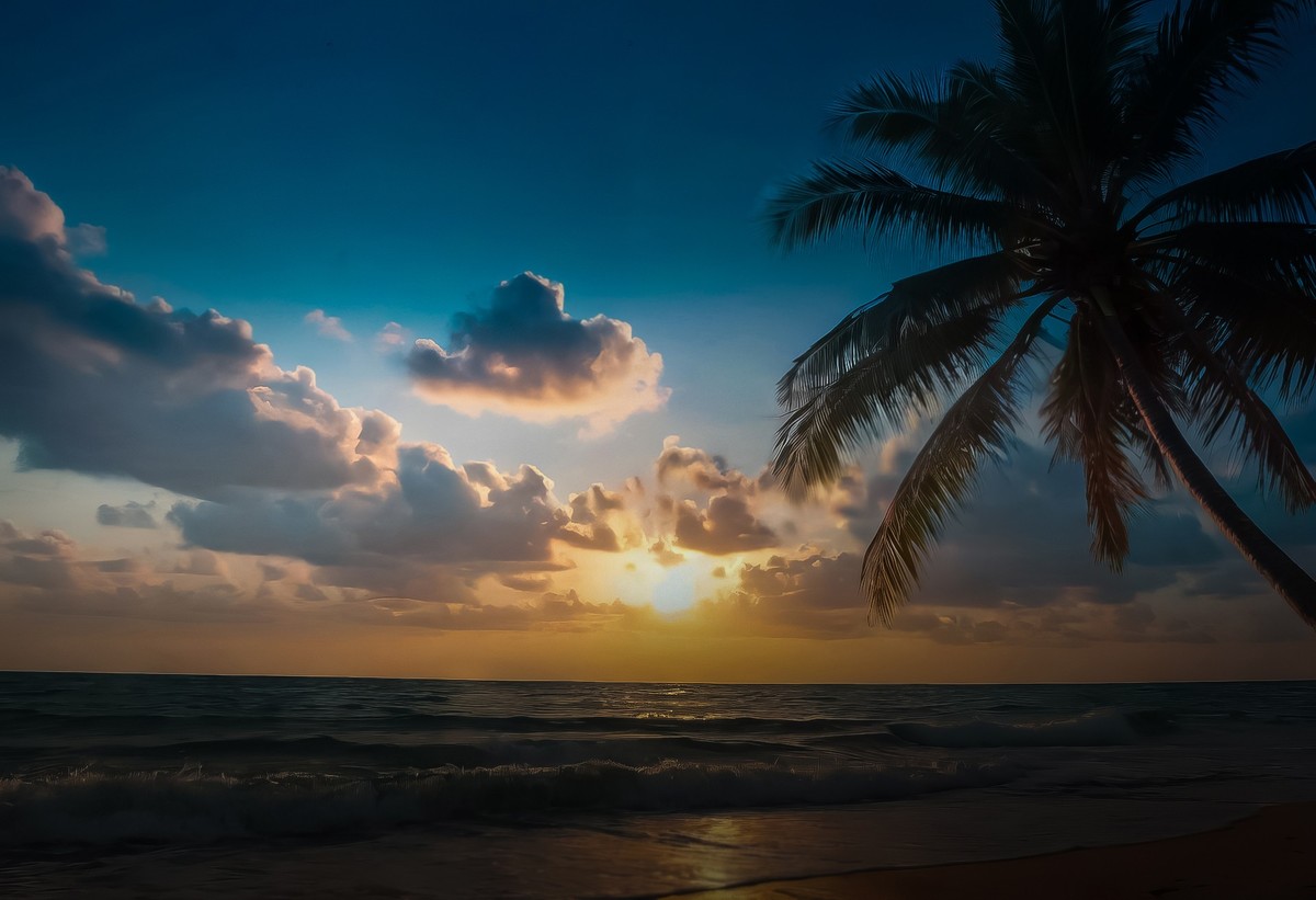 椰风海韵：晨光中的宁静