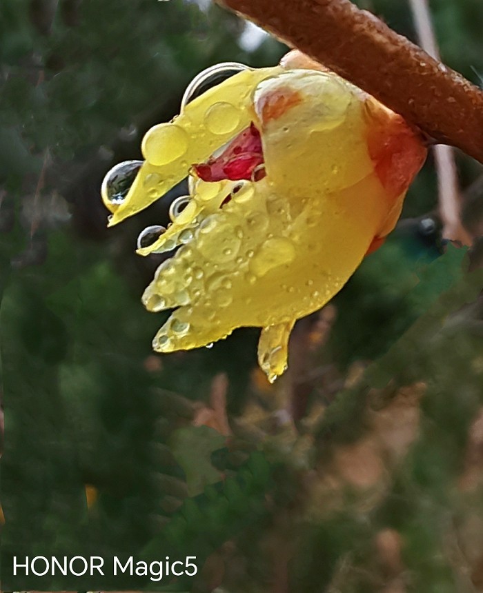 春节临近。给寿星老拜个早年！哈哈！！请假回老家过年去，来年再见！