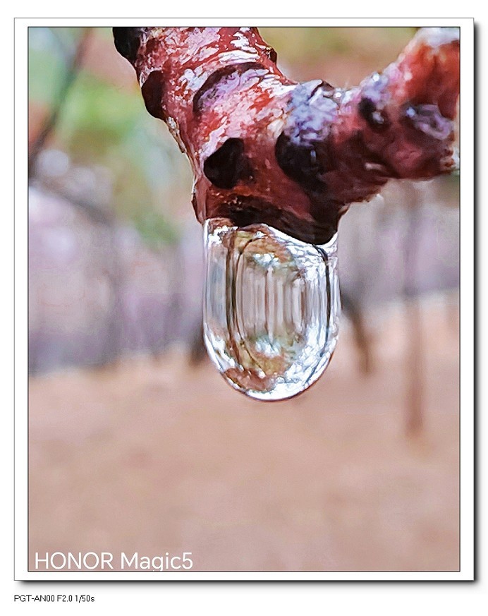 春节临近。给寿星老拜个早年！哈哈！！请假回老家过年去，来年再见！