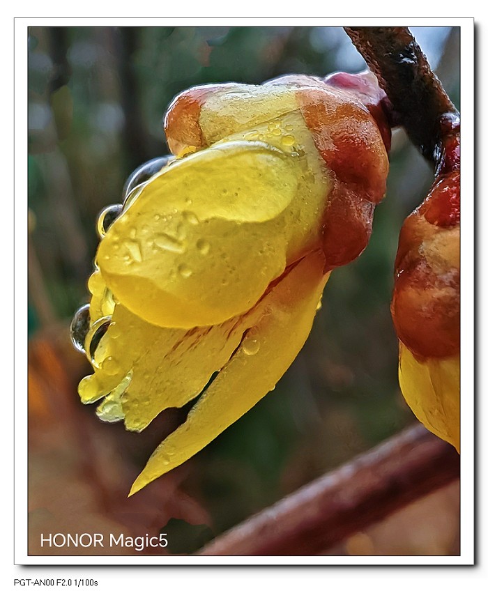 春节临近。给寿星老拜个早年！哈哈！！请假回老家过年去，来年再见！