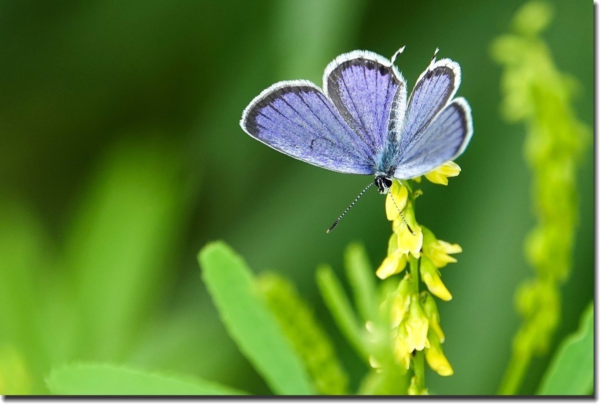 #版主坐堂#索尼大版星空(中国)2024年 8 月份优秀作品精选汇总