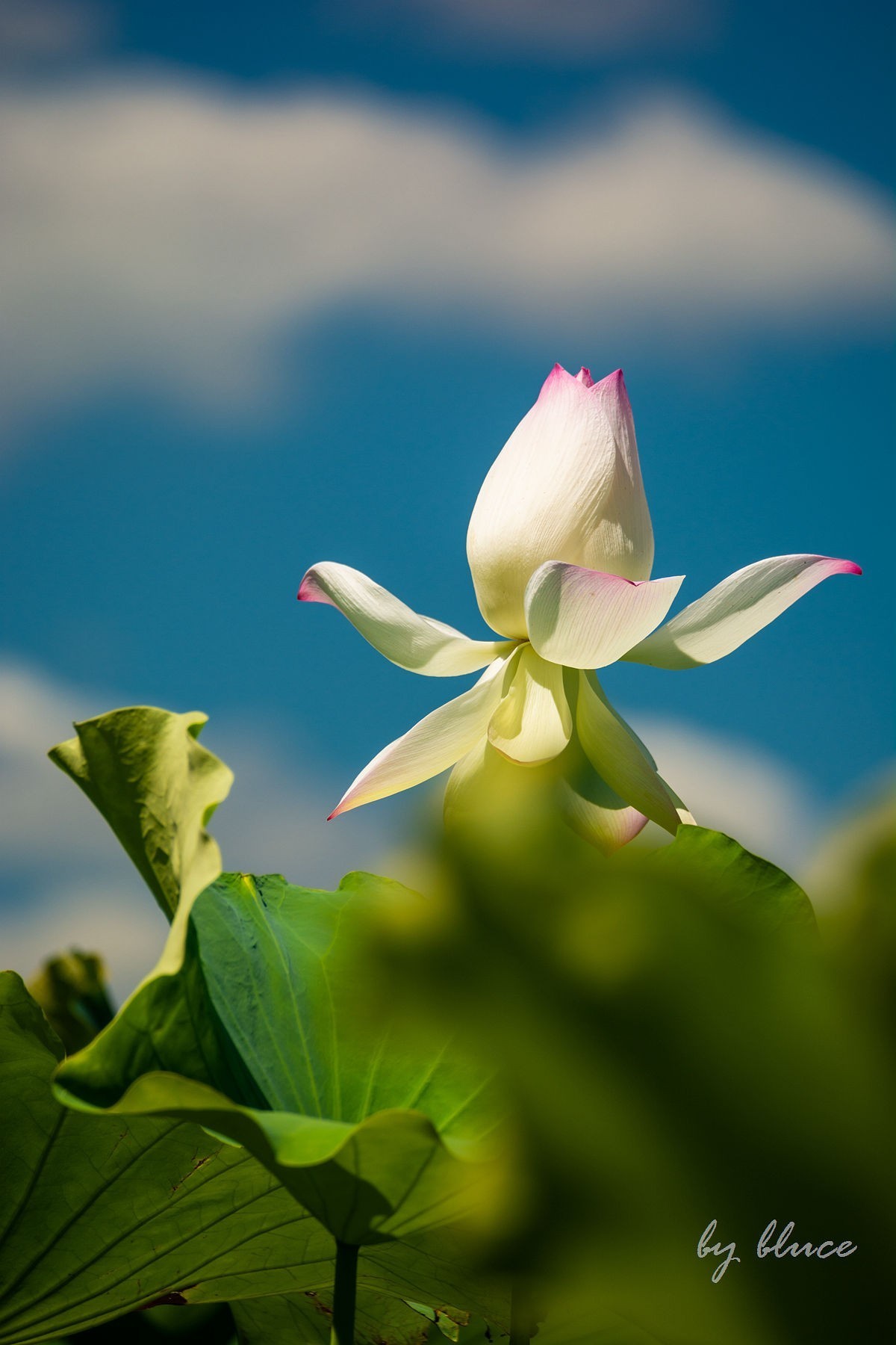 #版主坐堂#索尼大版星空(中国)2024年 8 月份优秀作品精选汇总