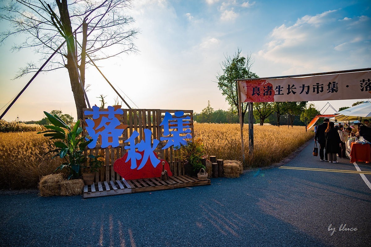 良渚古城遗址公园掠影(下)-中关村在线摄影论坛