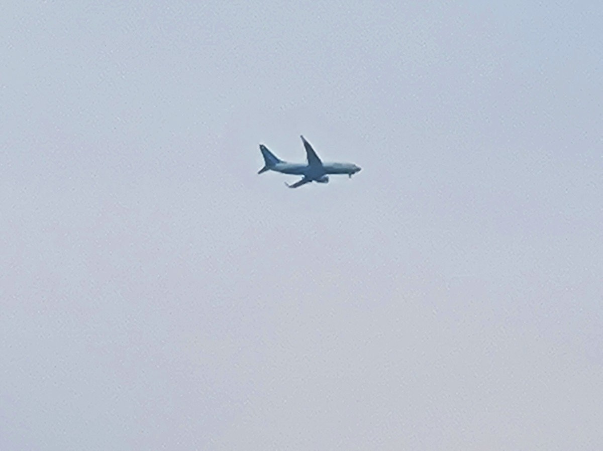 漫步星城 走街串巷（603）打卡水杉林