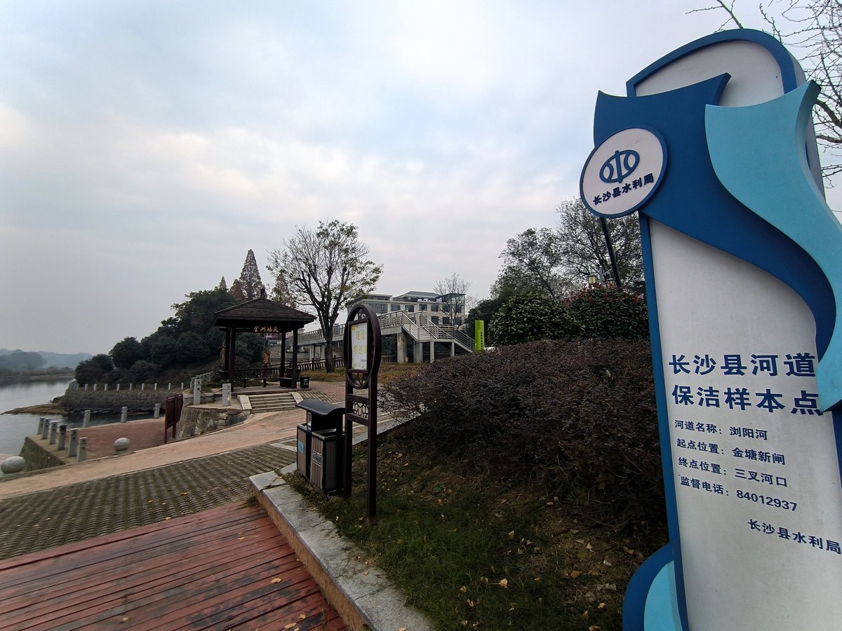 漫步星城 走街串巷（603）打卡水杉林
