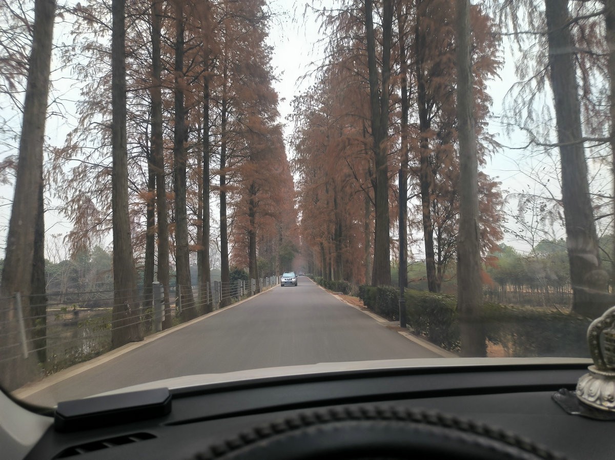 漫步星城 走街串巷（604）仿佛时间都变慢