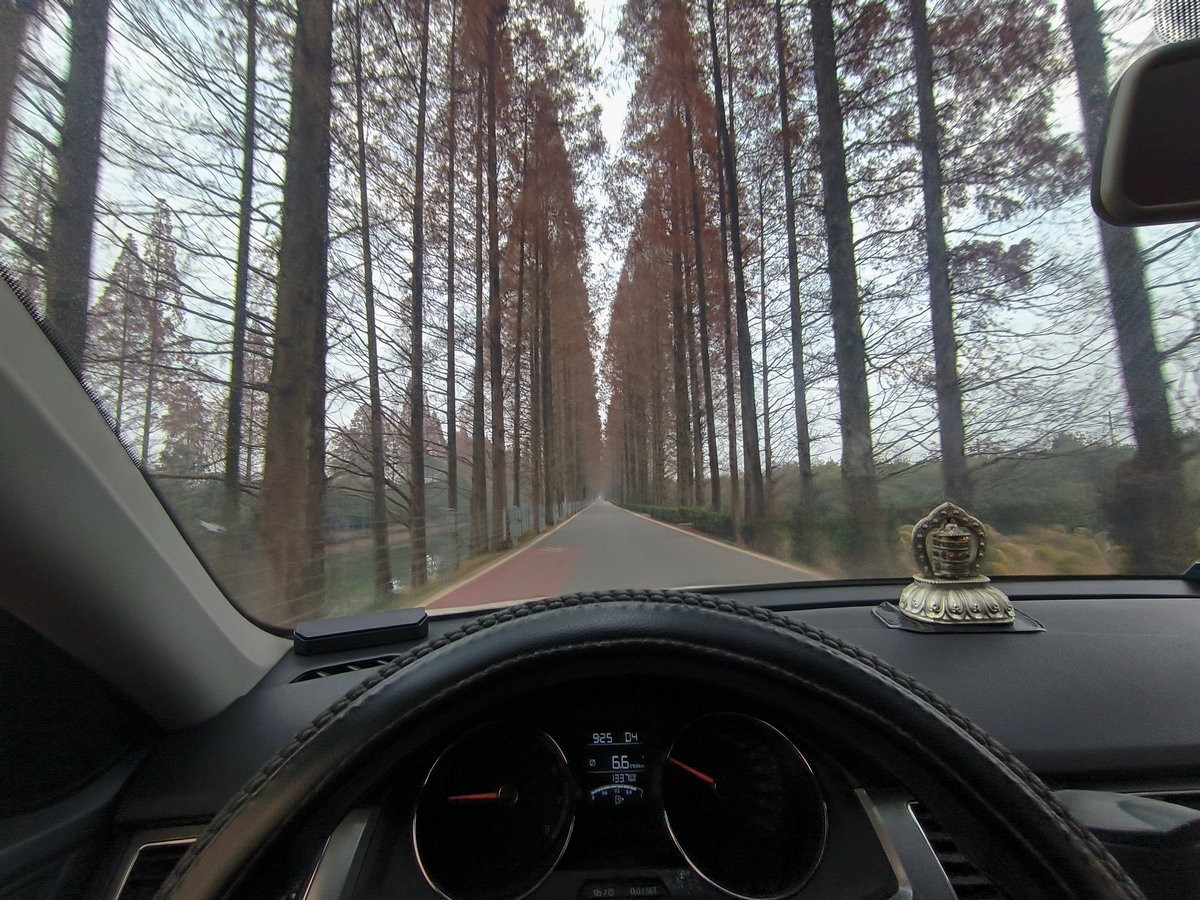 漫步星城 走街串巷（604）仿佛时间都变慢