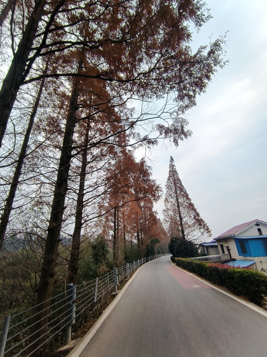 漫步星城 走街串巷（604）仿佛时间都变慢