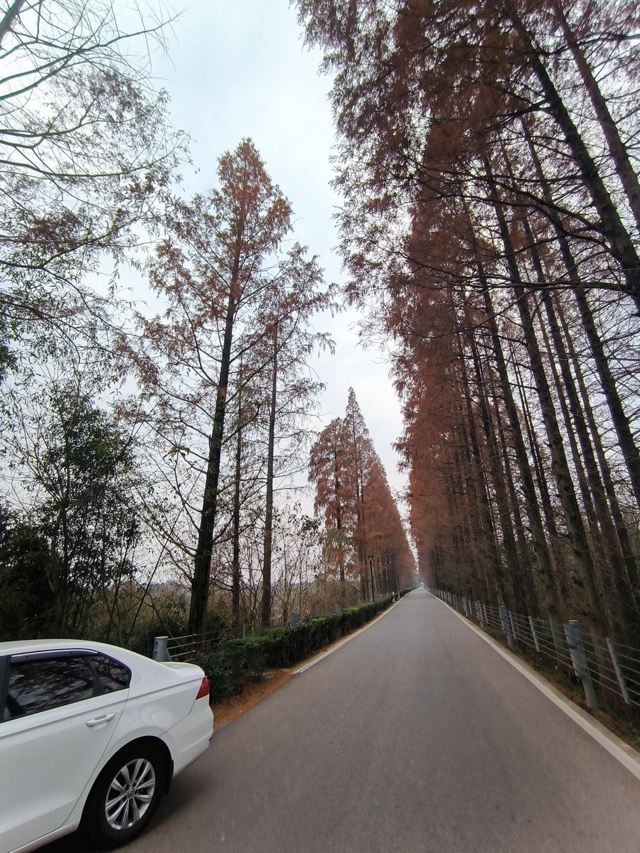 漫步星城 走街串巷（604）仿佛时间都变慢