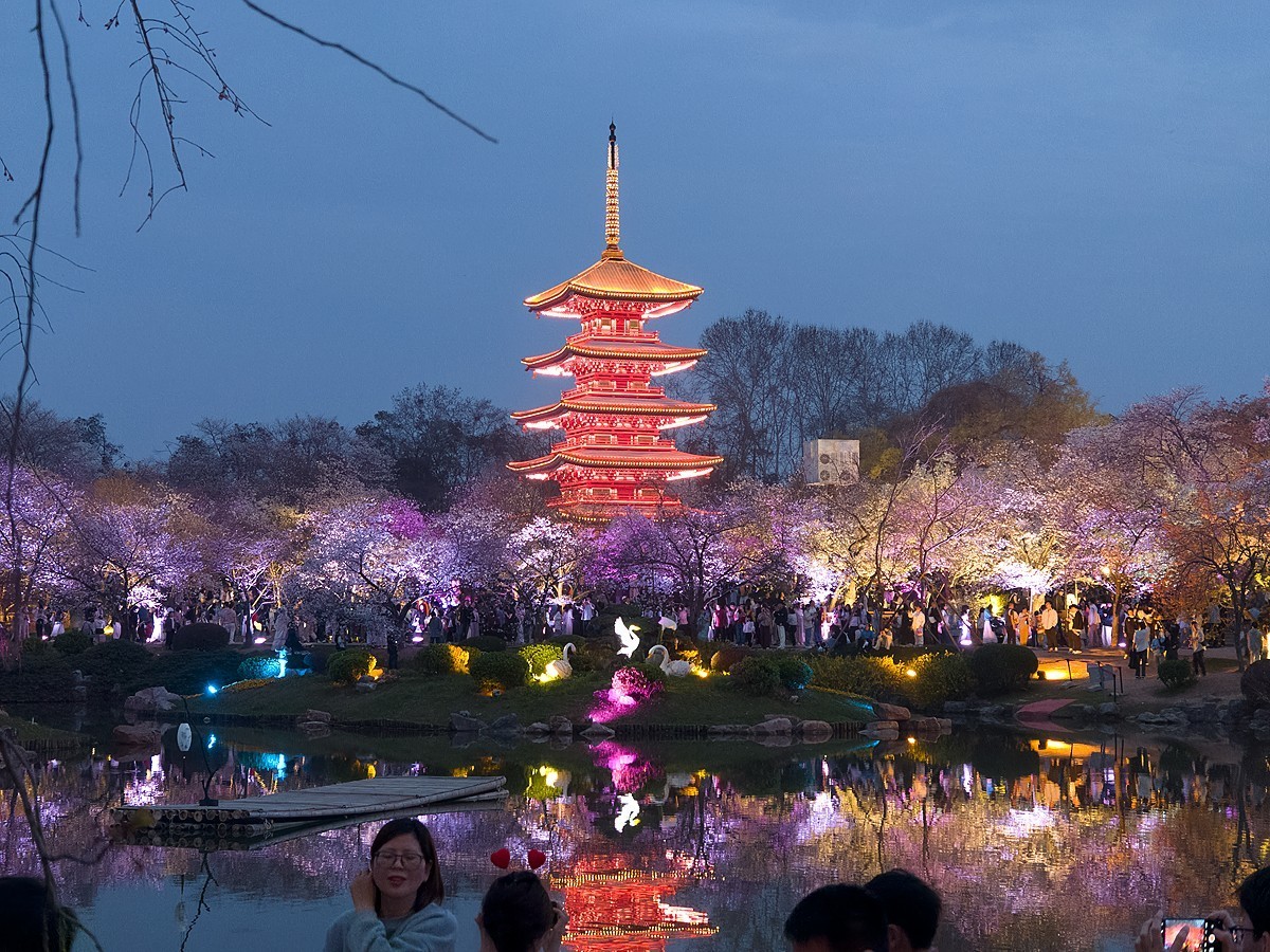 武汉东湖樱花园15