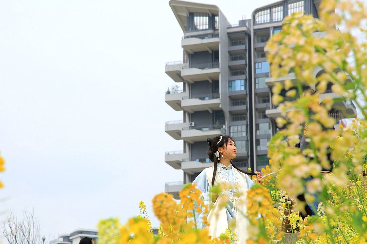 多彩油菜花【七】2025.087