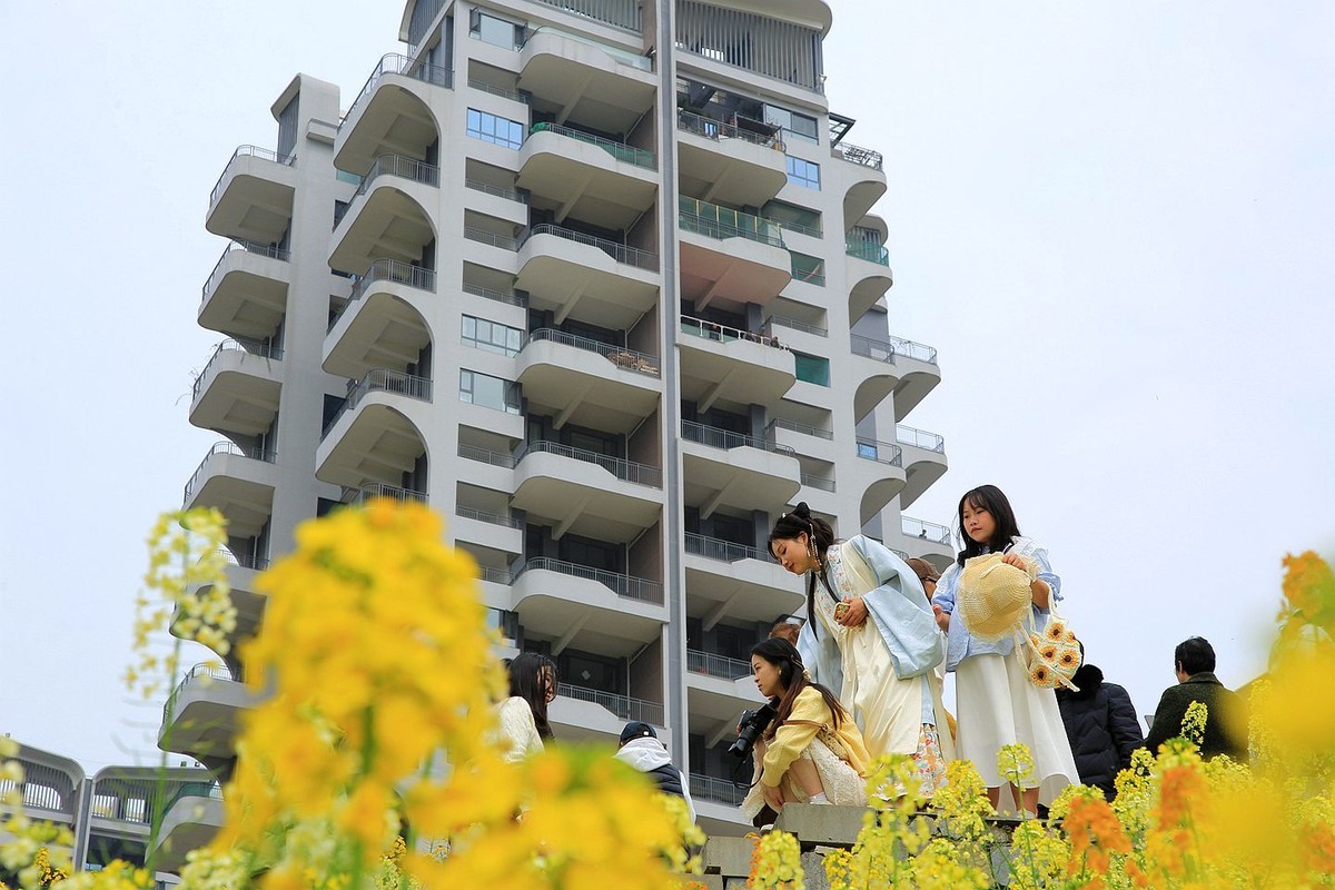 多彩油菜花【七】2025.087