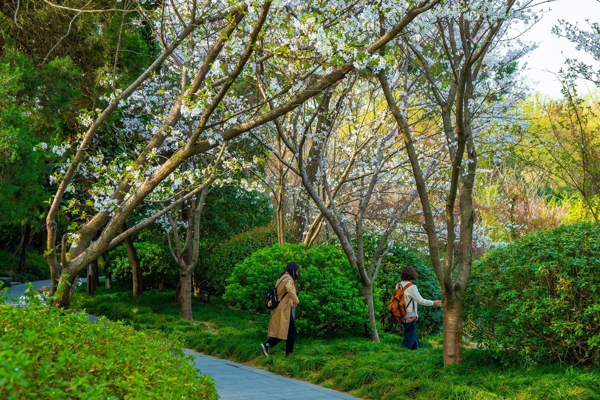 江南行—扬州大明寺周边—(31)—(13)