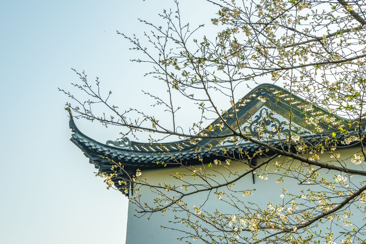 江南行—扬州大明寺周边—(31)—(13)