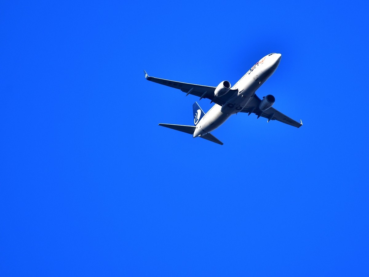 【视觉光影】白  鹡  鸰（11）