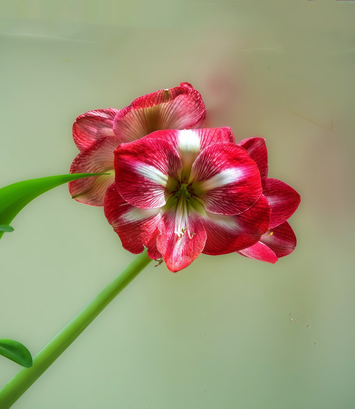 春游中山公园20250403 《9》