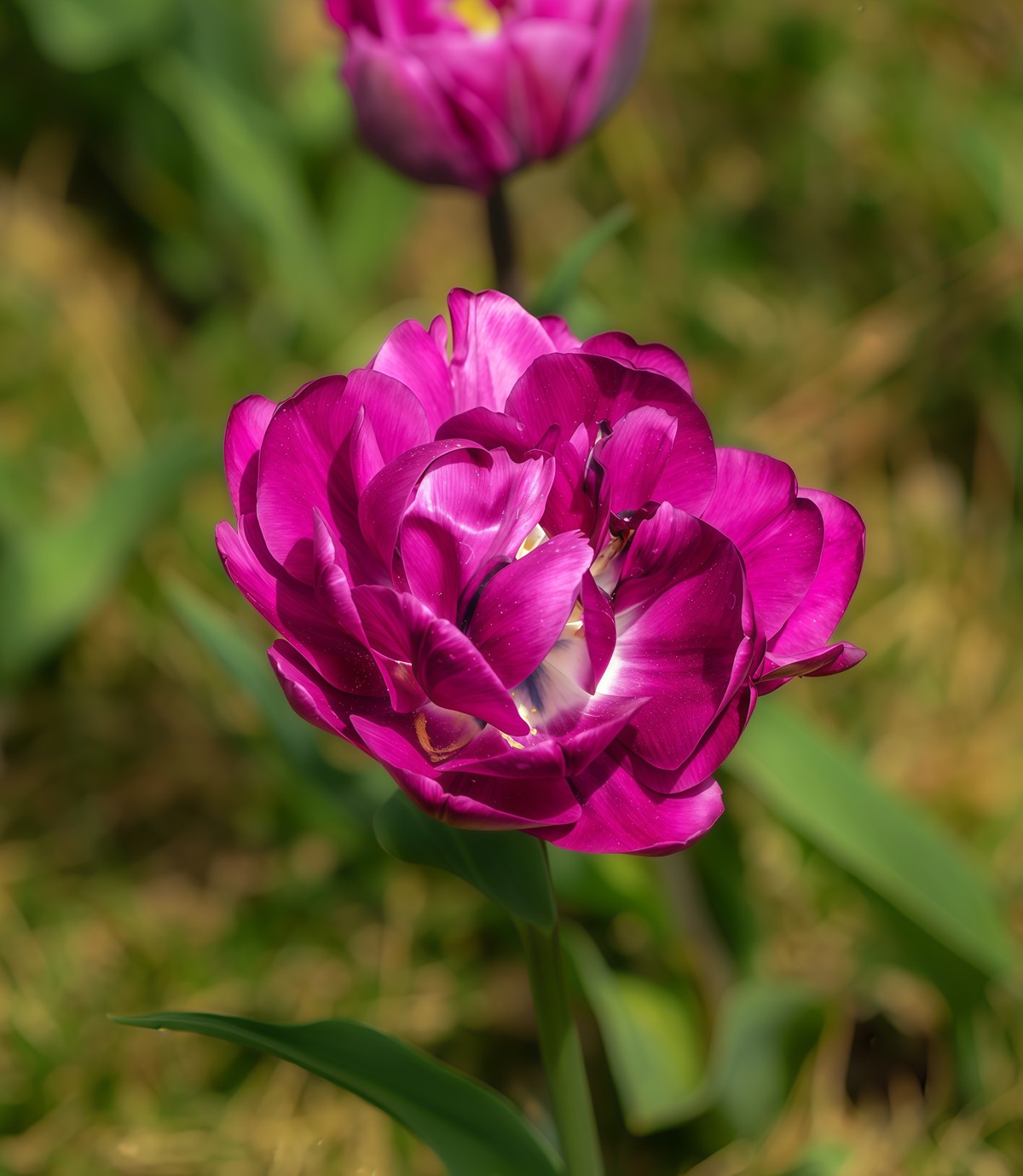 春游中山公园20250403 《9》