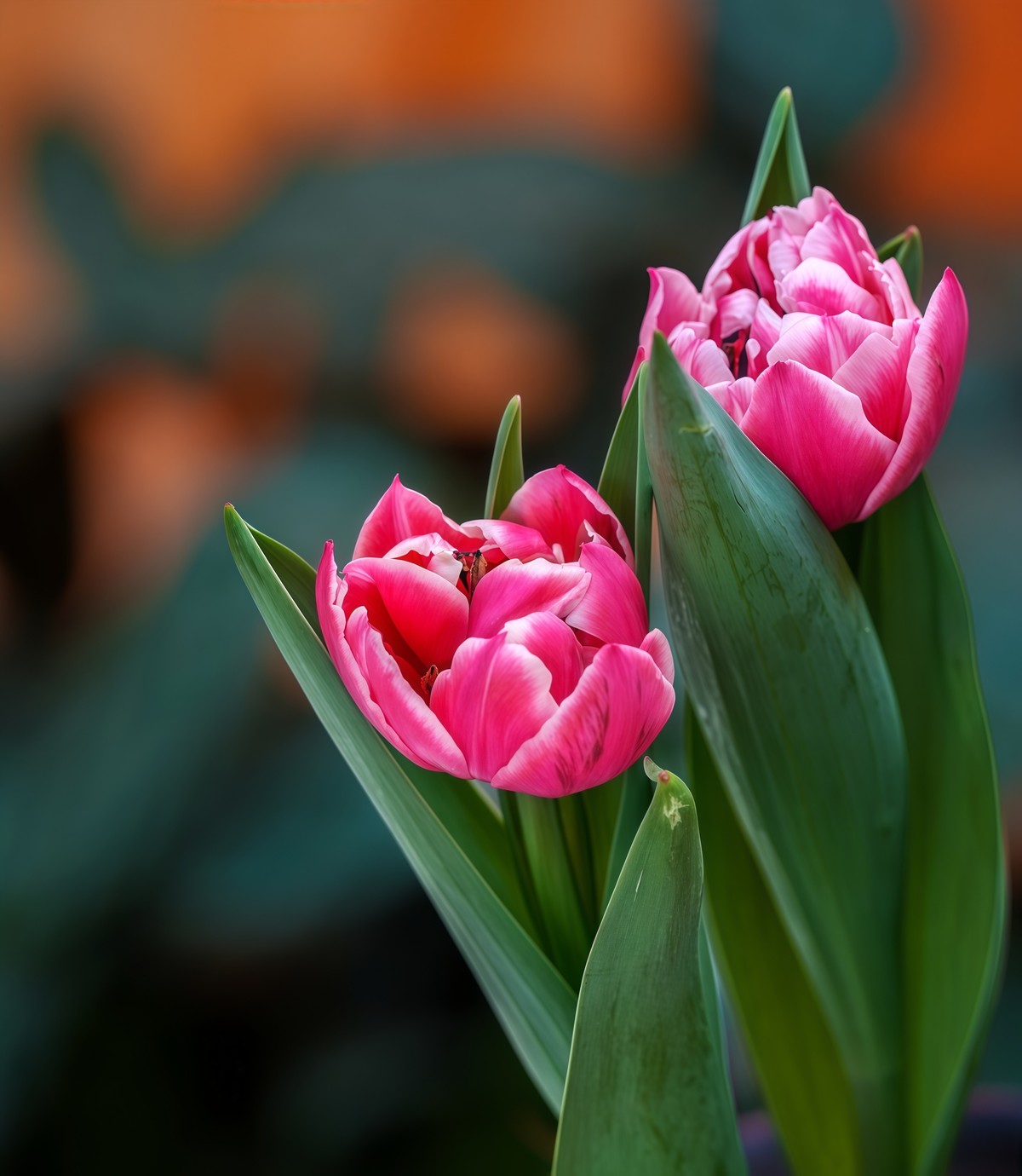 春游中山公园20250403 《9》