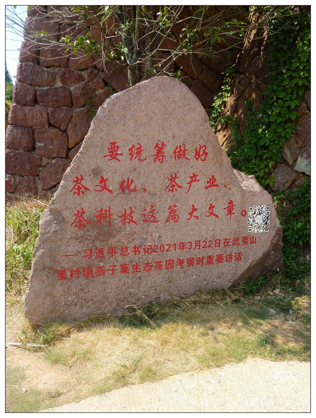 #留住美丽秋天#------福建南平武夷山燕子窠生态茶园