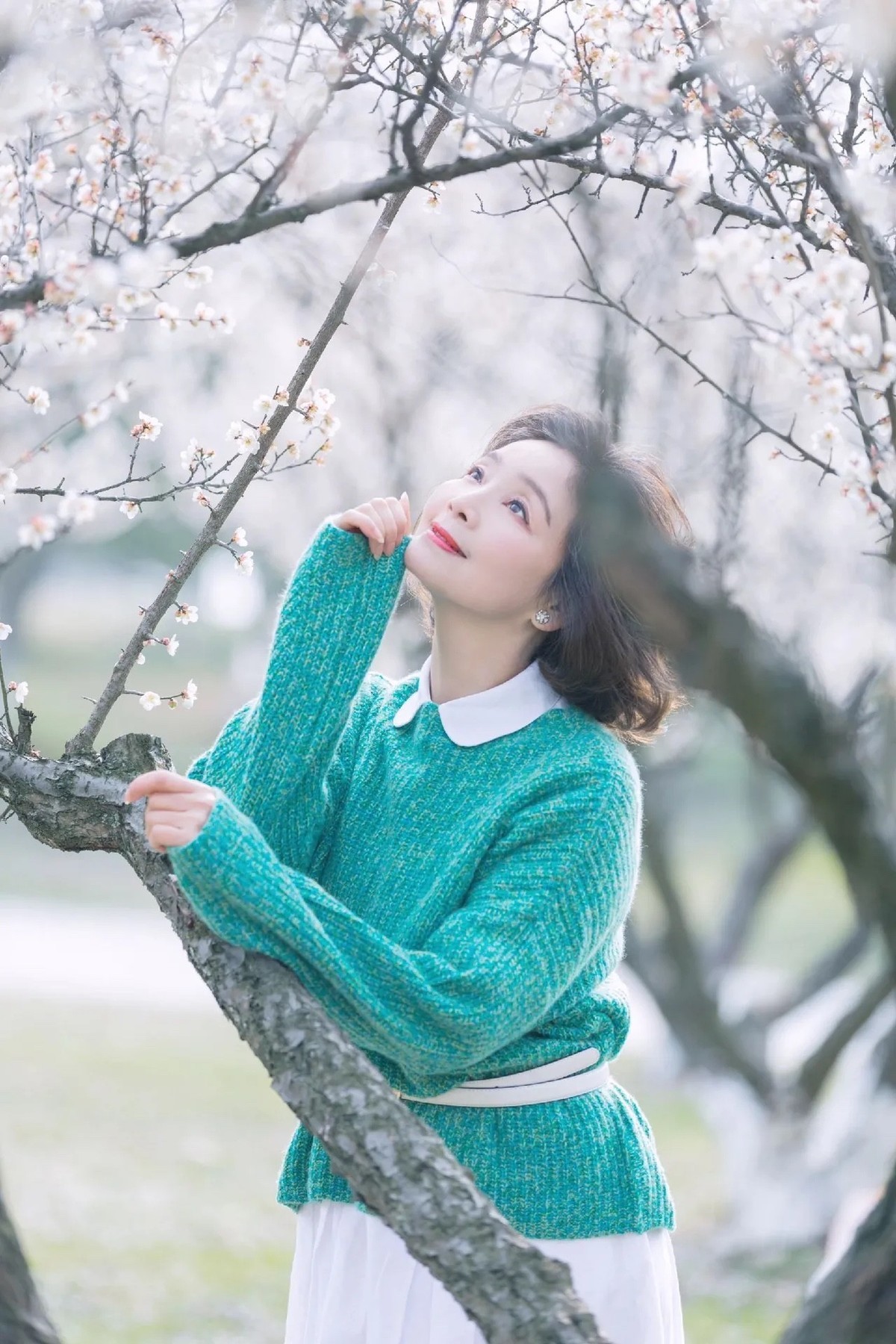 赏梅,踏春.心旷神怡