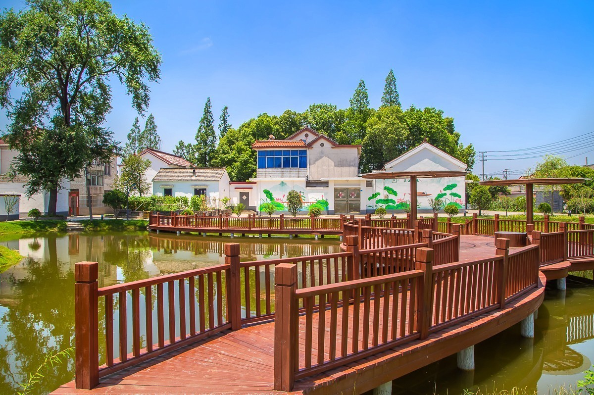 2023-07-08仪征新集天安村荷塘（三）