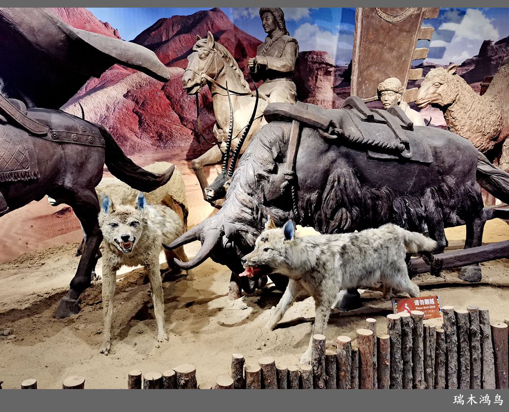 【甘青大环线】23.青海互助县彩虹部落土族园掠影