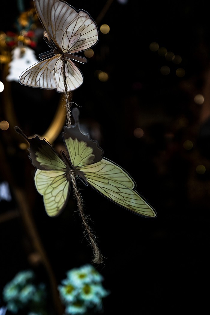 Lecia Q2（夜拍佛山岭南新天地）-2