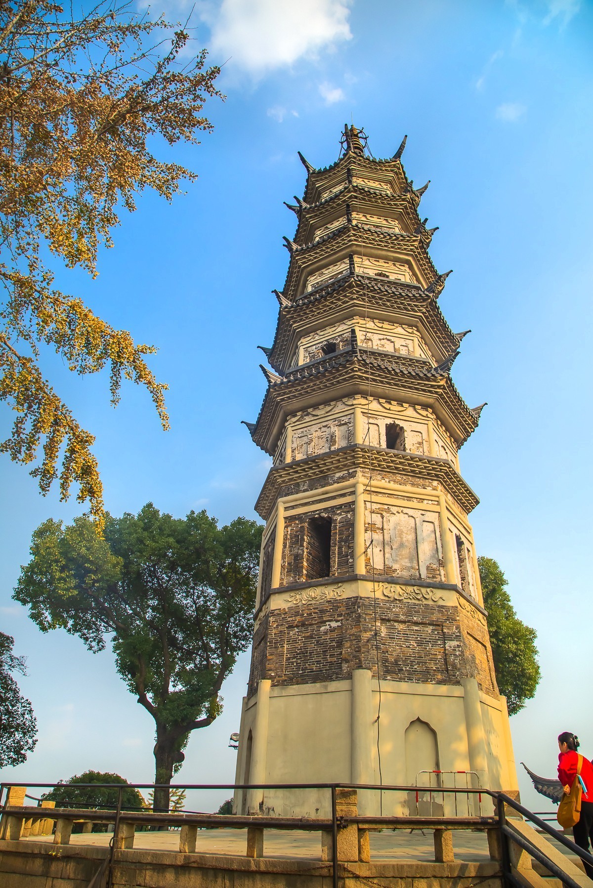 2023-11-22苏州上方山公园(七)-中关村在线摄影论坛