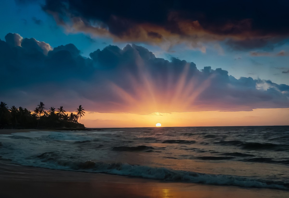 椰风海韵：晨光中的宁静