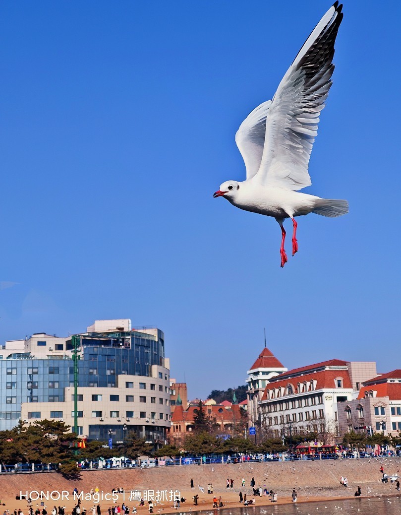 春节临近。给寿星老拜个早年！哈哈！！请假回老家过年去，来年再见！