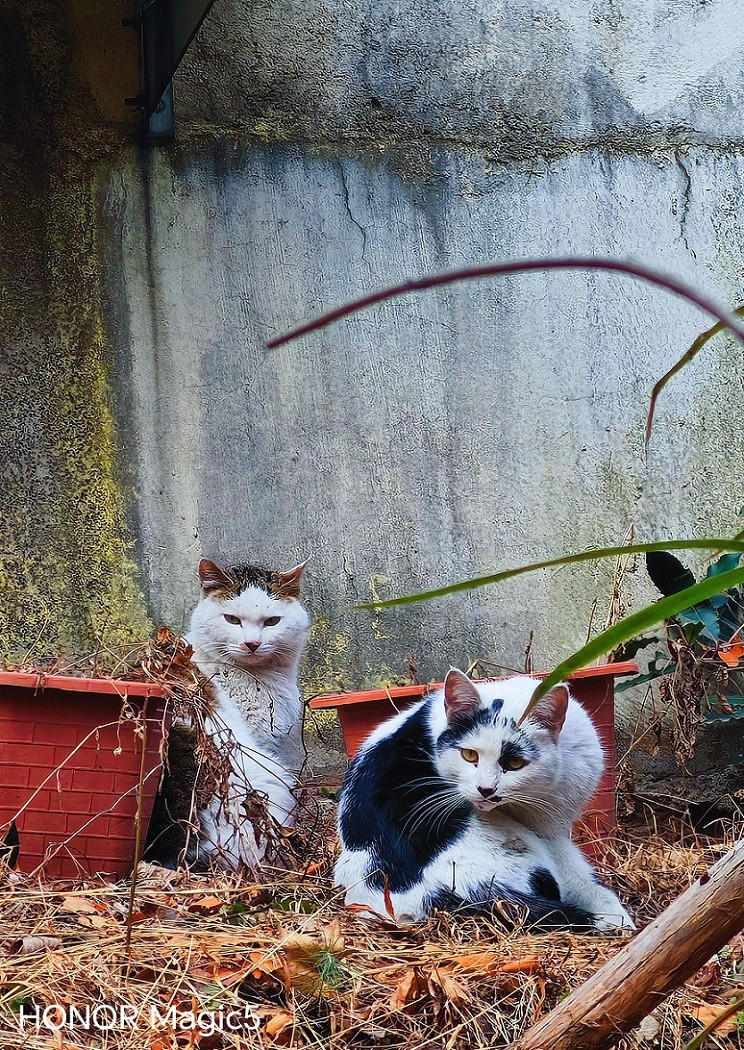 春节临近。给寿星老拜个早年！哈哈！！请假回老家过年去，来年再见！