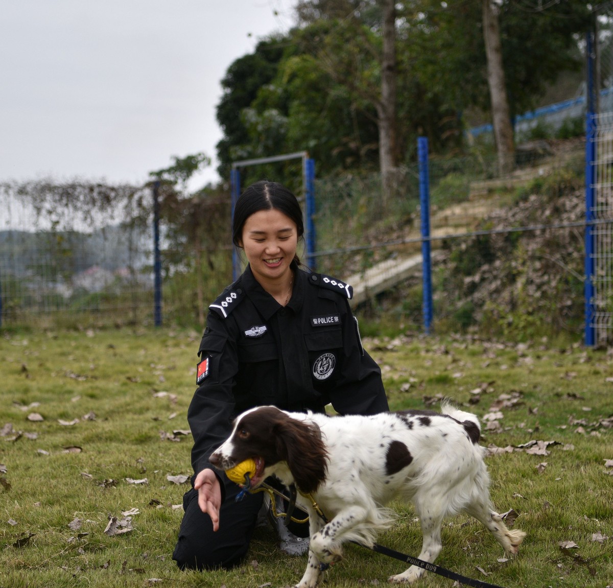 警花与警犬2生宝宝图片