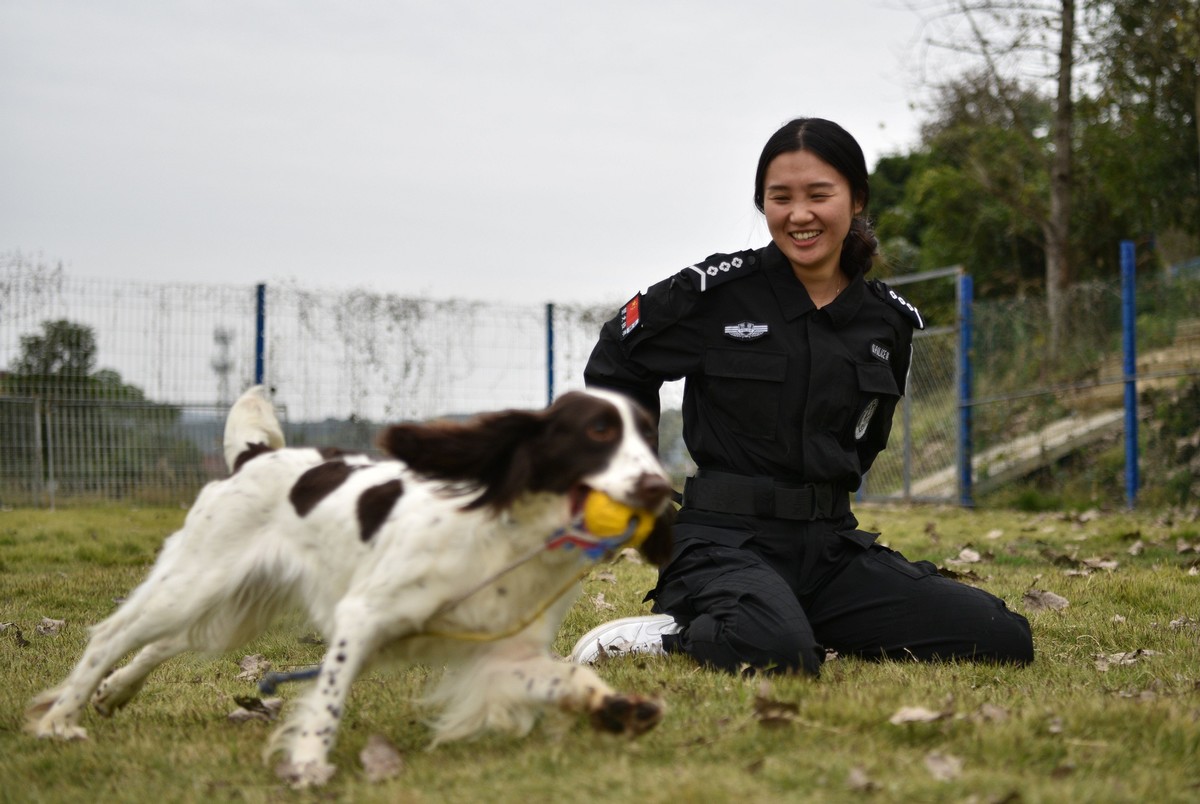 警花与警犬的狗演员图片