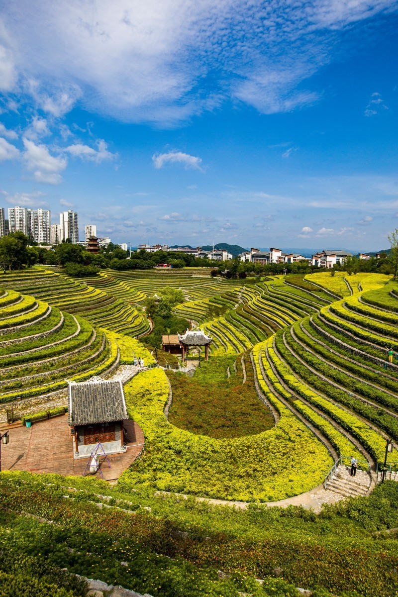 #版主坐堂#索尼大版星空(中国)2024年 8 月份优秀作品精选汇总