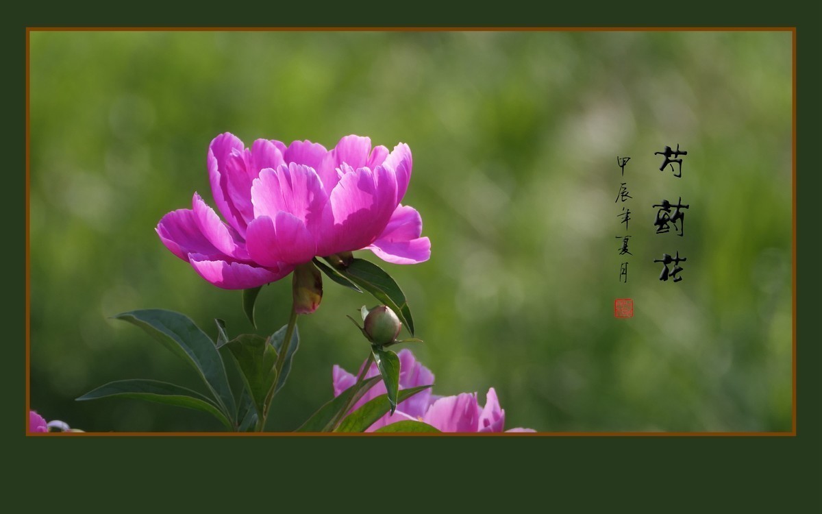 #版主坐堂#索尼大版星空(中国)2024年 8 月份优秀作品精选汇总