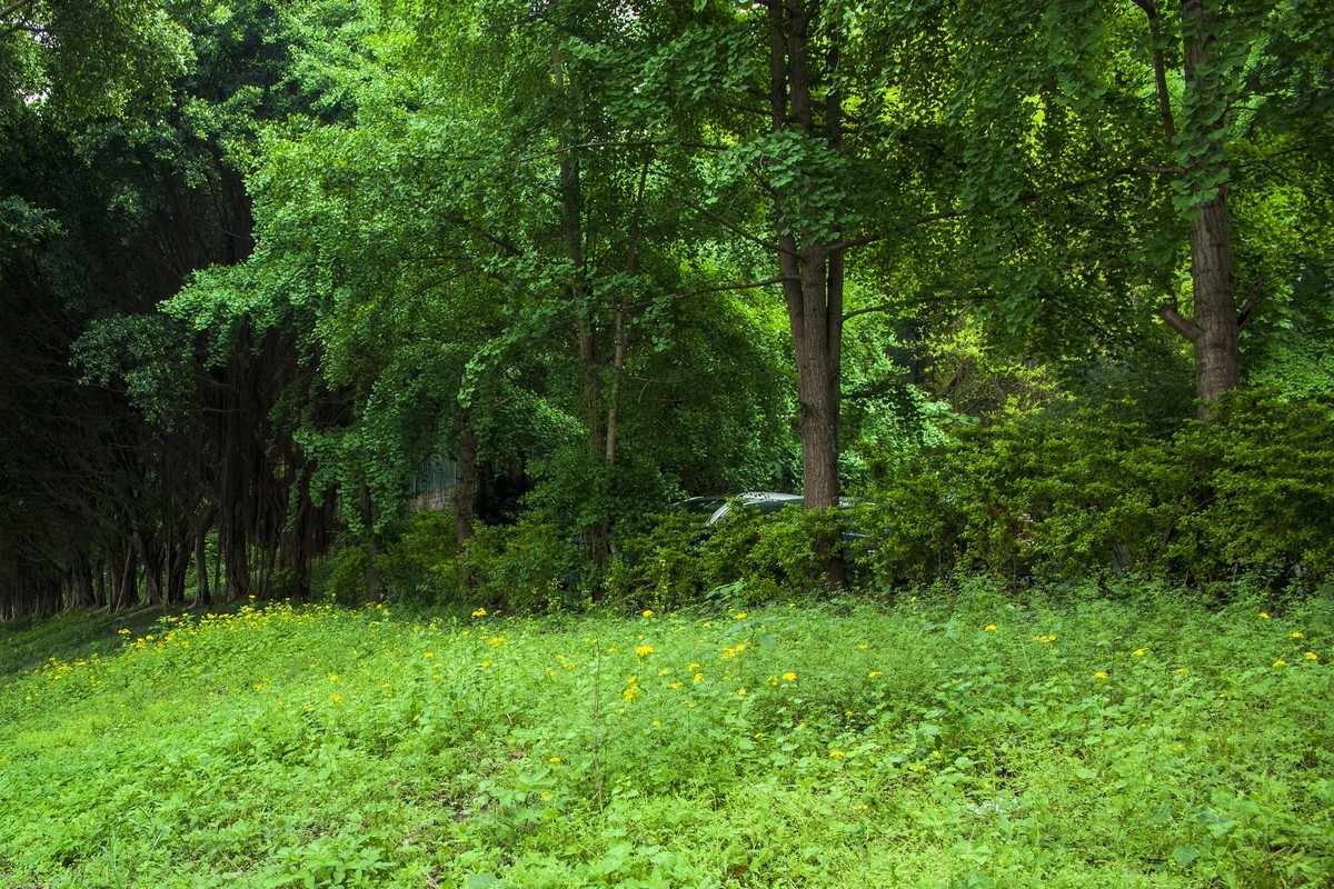鹅公岩南桥头随拍