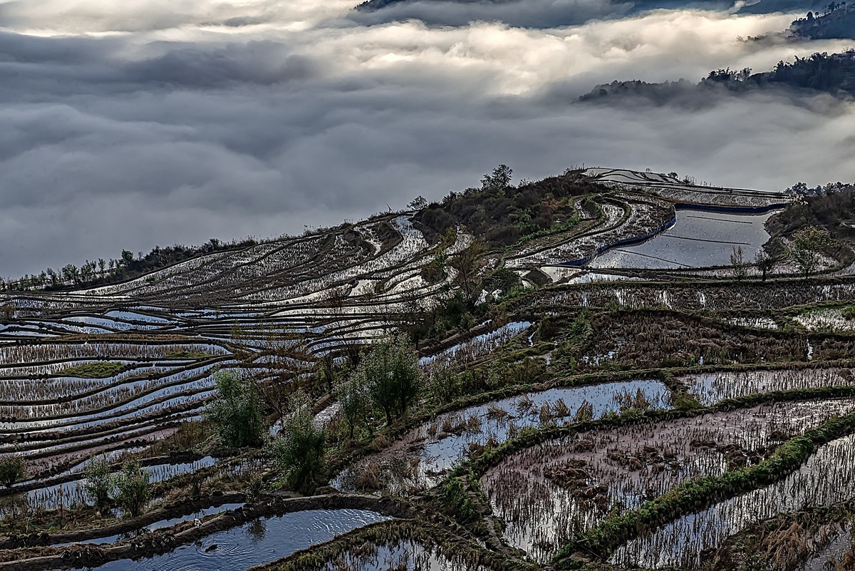 202201云南元江羊街梯田云海