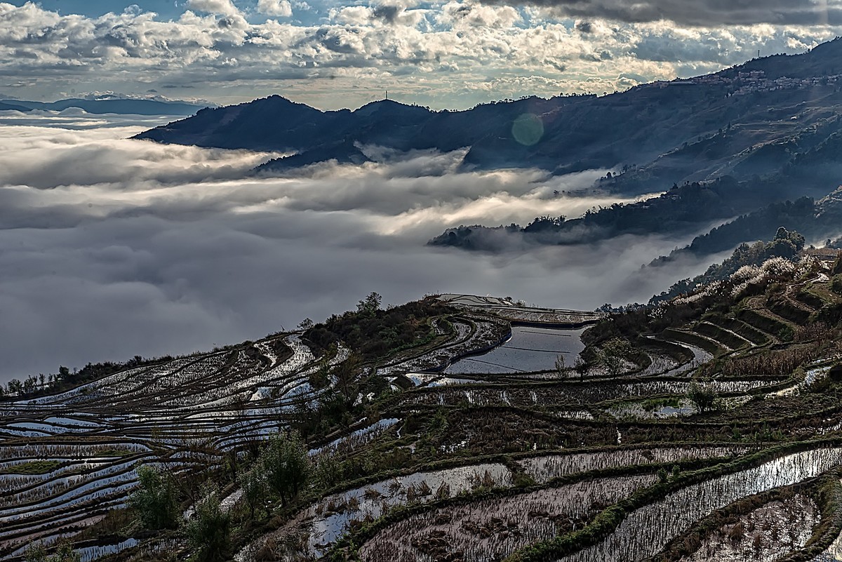 202201云南元江羊街梯田云海