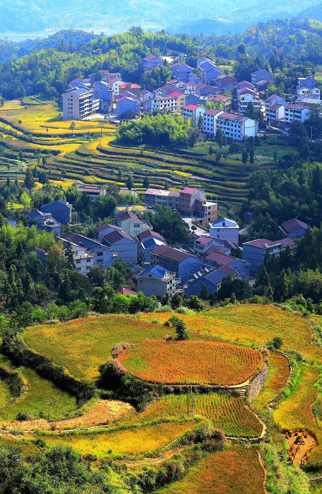 永嘉茗岙梯田-中关村在线摄影论坛