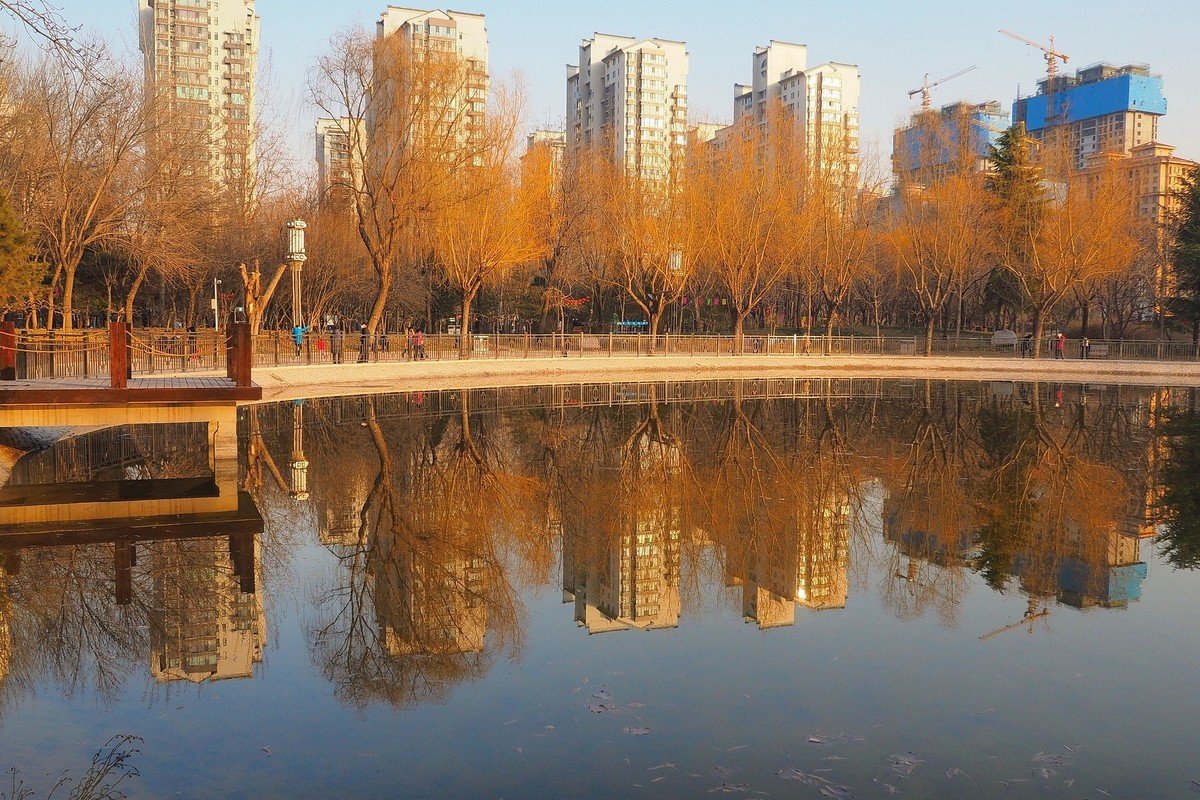 寒冬里的绿洲公园