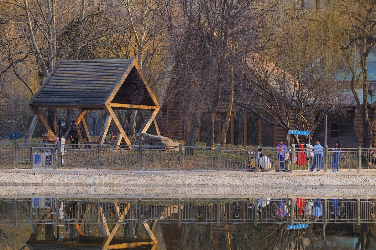 寒冬里的绿洲公园